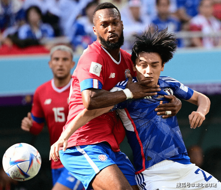 波兰队翻盘日本队，奥恰洛夫统治全场